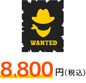 ミッションプラン 8800円